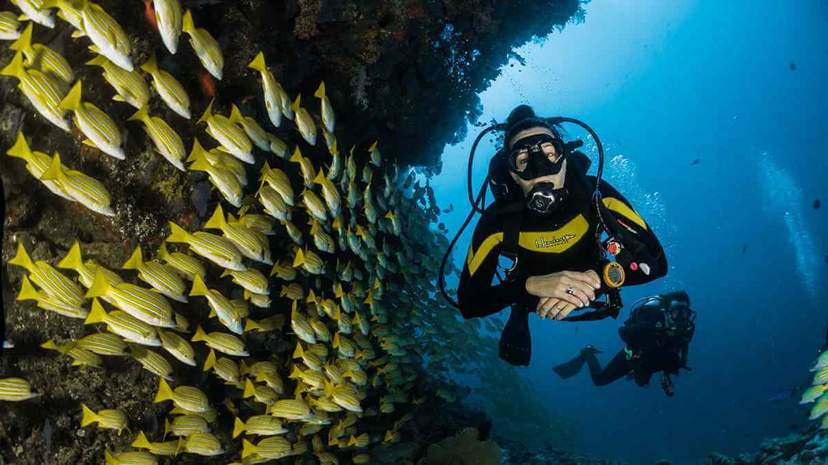 scuba diving